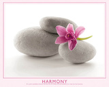 Harmony (Flower & Stones) Art Poster Print Prints
