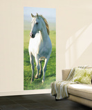 White Horse Giant Mural Poster Wall Mural