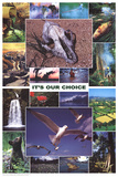 Laminated It's Our Choice Enviornment Educational Science Chart Poster Prints