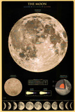 Laminated The Moon Educational Poster Posters