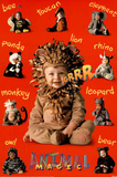 Animal Magic Art Print Poster Prints