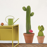 Atelier Giant Cactus Wall Stickers Wall Decal
