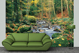 Forest Stream Huge Wall Mural Art Print Poster Wall Mural