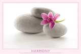Harmony (Flower & Stones) Art Poster Print Posters