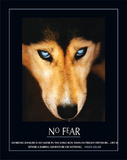 No Fear Hellen Keller Quote Dog Art Print Poster Posters