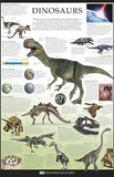 Dinosaurs Dorling Kindersley Educational Poster Print Posters