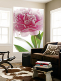 Pink Peony Flower Mini Mural Huge Poster Art Print Wall Mural