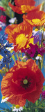 Red Poppies Giant Door Poster Art Print Posters