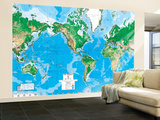 World Map Wall Mural