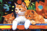 Rob Hefferan (Happy Cats) Art Poster Print Posters