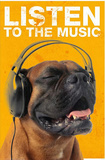 Listen to the Music Dog Art Print Poster Photo