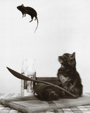 Don’t Play with Your Food Art Print Poster Posters
