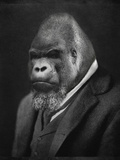 Mario Gorillini Giclée-Premiumdruck von Grand Ole Bestiary 