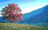 Tree Hill Seasons 3-D Lenticular Poster Print Photo