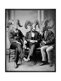 Brotherhood of the Ram Giclée-Premiumdruck von Grand Ole Bestiary 