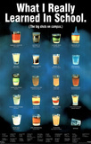 What I Really Learned in School Shots Poster Prints