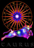 Taurus Astrological Sign Art Print Poster Print