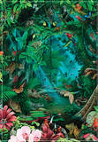 Realm of the Rainforest Educational Poster Print Posters