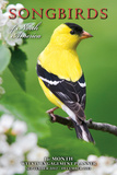 Songbirds of North America - 2013 16-Month Weekly Engagement Planner Calendars