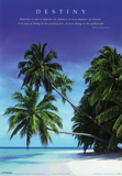 Destiny Palm Trees over Water Motivational Poster Print Print