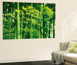 Dave Brullmann Bamboo in Spring Mini Mural Huge Poster Art Print Wandgemälde