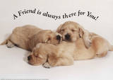 A Friend is Always There For You Puppies Motivational Poster Print Print