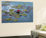 Hank Gans Waterlilies Mini Mural Huge Poster Art Print Wall Mural by Hank Gans