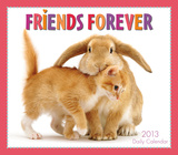 Friends Forever   - 2013 Box/Daily Calendar Calendars