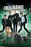 The Big Bang Theory - Group Posters