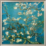 Almond Branches in Bloom, San Remy, c.1890 Poster by Vincent van Gogh