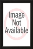 VJ Day Kiss (Sailor & Nurse) Art Poster Print Poster