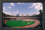 Busch Memorial Stadium St Louis Cardinals Archival Sports Photo Poster Print Art