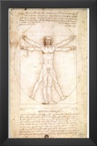 Vitruvian Man 1492 Leonardo da Vinci Davinci art POSTER Prints