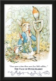 Beatrix Potter Tale Peter Rabbit Art Print POSTER cute Poster