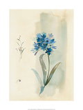 Antique Flowers II Posters by Paul Hargittai