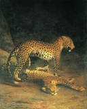 Two Leopards Playing Pósters por Jacques-Laurent Agasse Two Leopards Playing Pósters por Jacques-Laurent Agasse