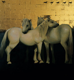 Horse Series I Prints by Peter Fraenkel