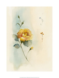 Antique Flowers Iv Poster by Paul Hargittai