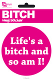 Bitch Life's A Vinyl Stickers Stickers