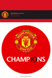 Manchester United - 19 Titles Vinyl Stickers Stickers