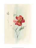 Antique Flowers IIi Prints by Paul Hargittai