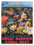 Great Barrier Coral Reef c.1933 Kunstdrucke von Frederick Phillips