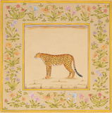 Miniature Series: Leopard Prints by Neelan Khanna