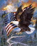 America'S Pride Print by Ruane Manning