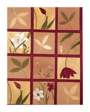 Windowpane Floral I Prints by Muriel Verger