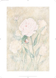 Peony Posters by C. C. Wilson