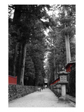 Road To The Temple Posters by  NaxArt