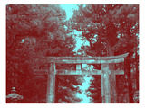 Nikko Gate Prints by  NaxArt