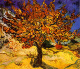 The Mulberry Tree, c. 1889 Photo by Vincent van Gogh