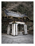 Nikko Architecture Poster by  NaxArt